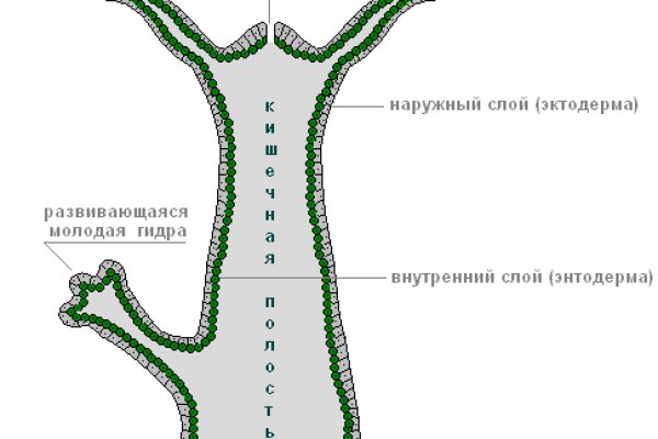 Ссылка кракен даркнет маркет