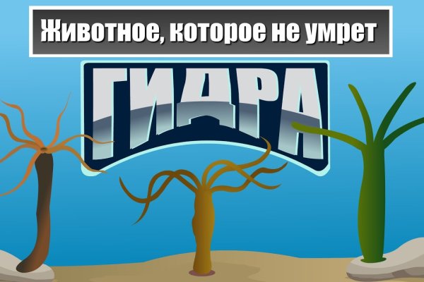 Клирнет ссылка на зеркало маркетплейс кракен