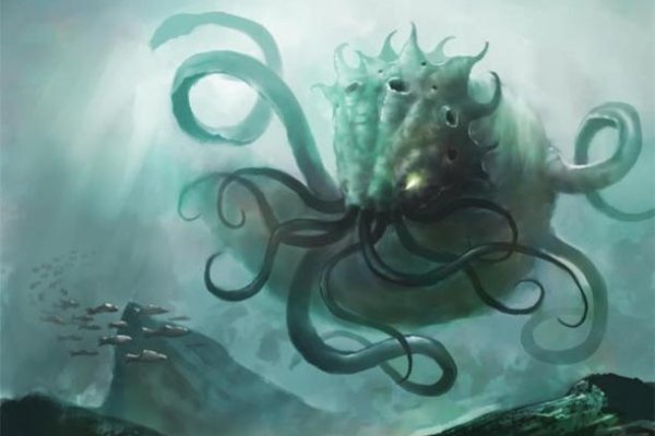 Kraken kraken link24 info