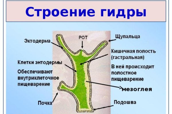 Кракен купить меф