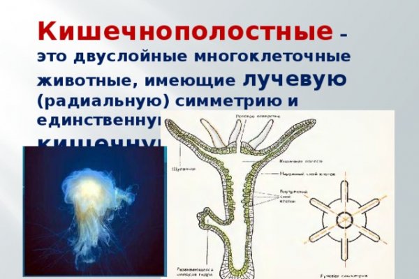 Kraken официальный сайт вход