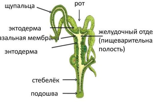 Кракен официальная kr2web in